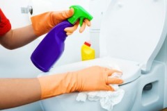 Оцена најбољих средстава за чишћење тоалета од рђе и разних наслага: за и против, прегледи, цена