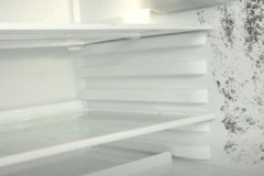 Evde buzdolabında küfü güvenli ve etkili bir şekilde nasıl temizleyebilirim?