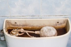 Mga resipe at pamamaraan kung paano linisin ang isang toilet cistern mula sa kalawang sa loob ng bahay