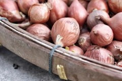 Sauver la récolte: pourquoi les oignons pourrissent pendant le stockage et comment l'éviter?