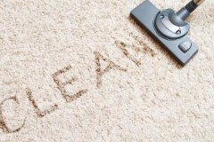 Начини и значења како и како брзо и ефикасно очистити палату код куће
