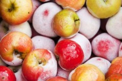 Питање за затрпавање: на којој температури треба чувати јабуке?