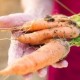 Façons populaires de conserver les carottes dans la cave