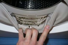 Bir çamaşır makinesinde kauçuk / lastik bantlar kullanarak küfü kolay ve ucuz bir şekilde nasıl çıkarabilirim?