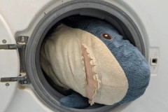 Ikea'dan bir köpekbalığının nasıl yıkanacağına dair basit öneriler