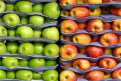 Tüm yıl boyunca taze elmalar veya meyveler kışın mahzende nasıl saklanır